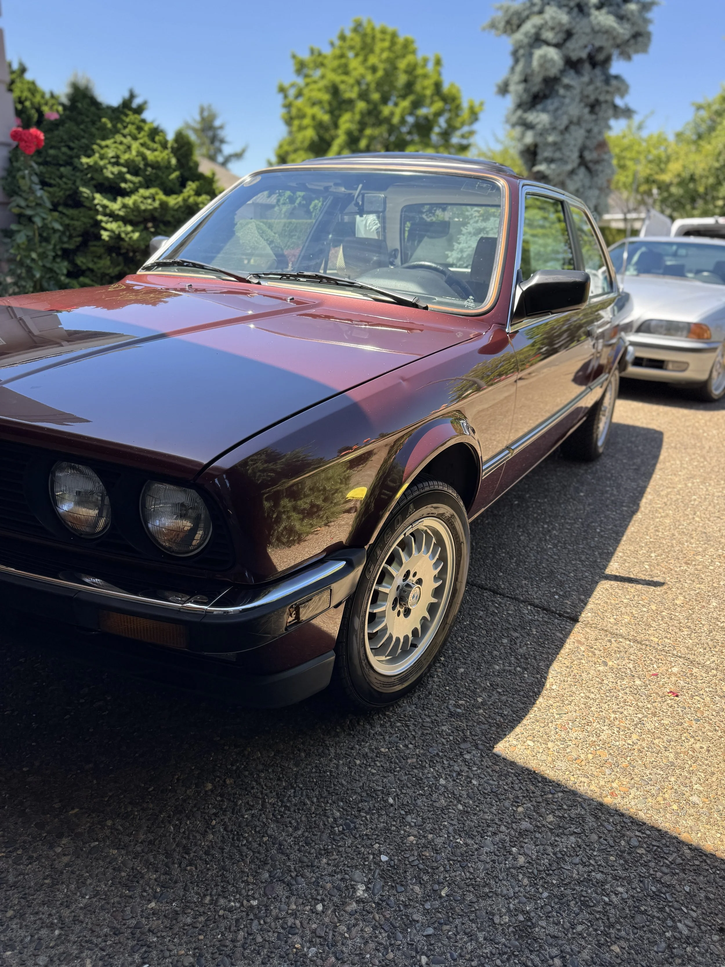 BMW polished and protected