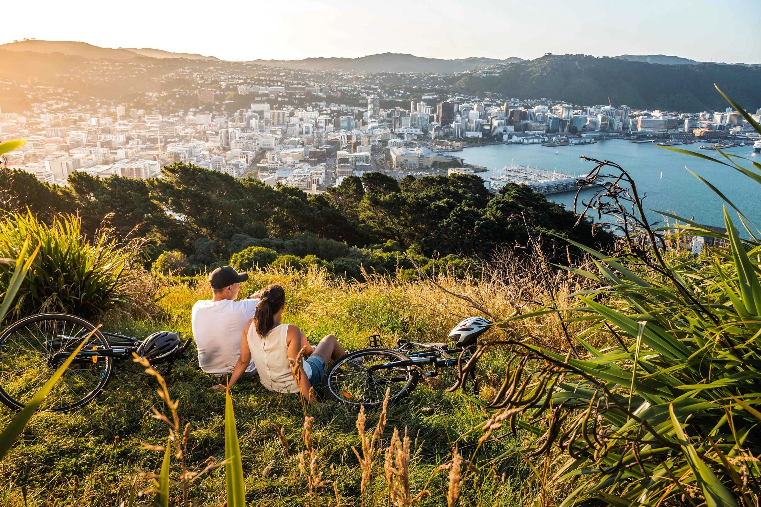 Cyclists-at-Mt-Victoria-Lookout-Wellington-2.jpg