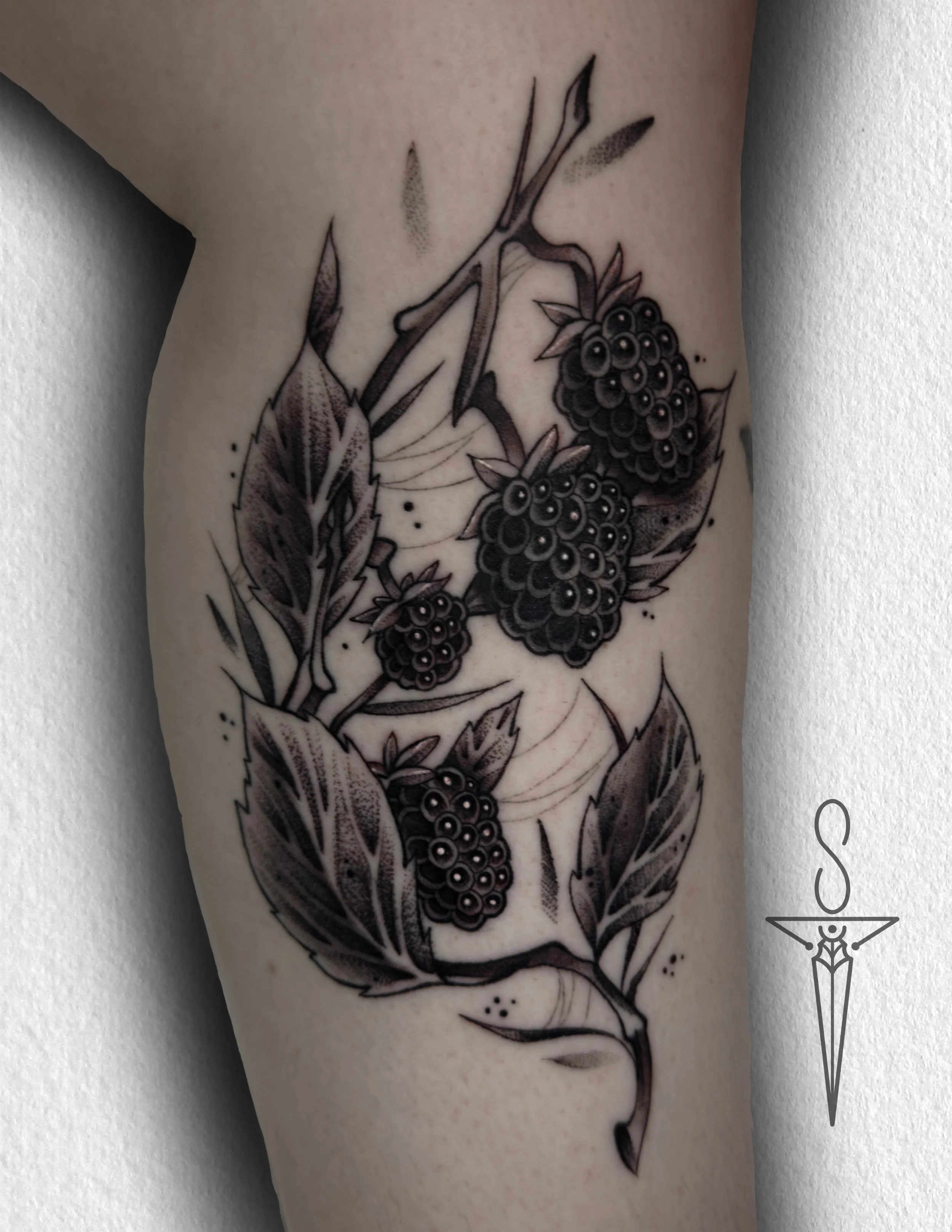 Wild-berry-tattoo-rockford-il