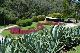 Garden design genius Roberto Burle Marx