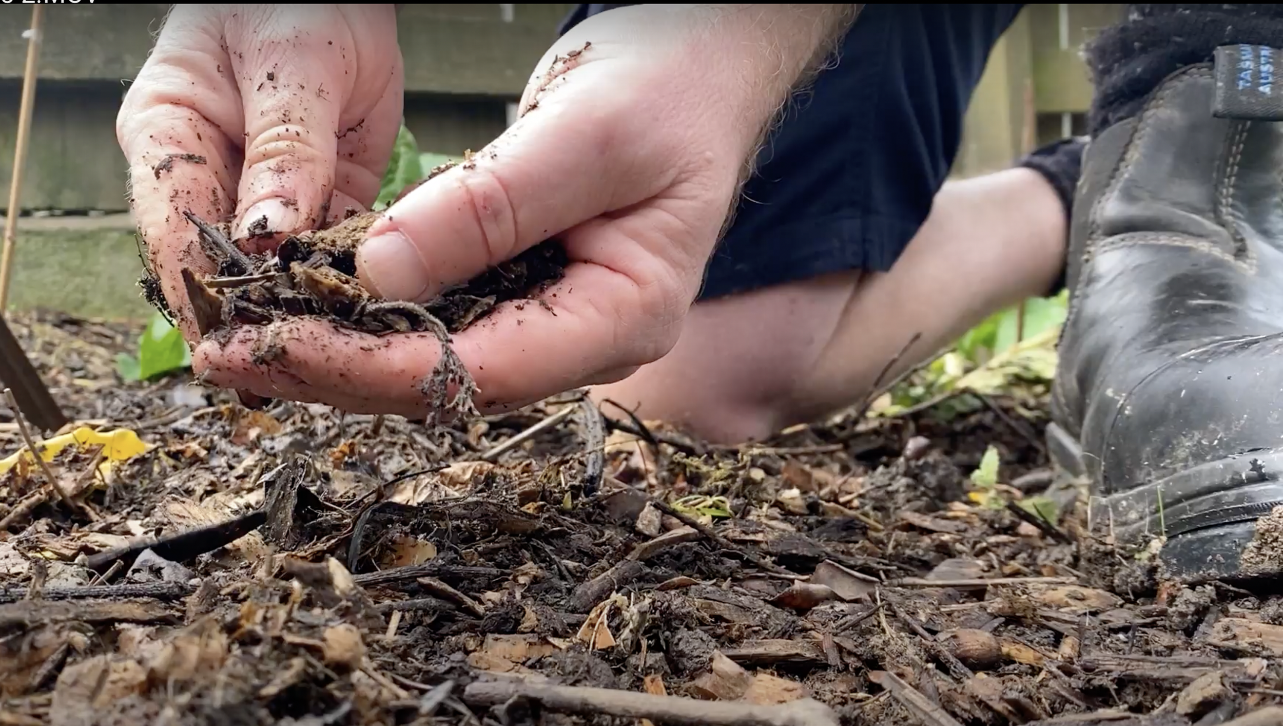 What's the best mulch for shrubs?