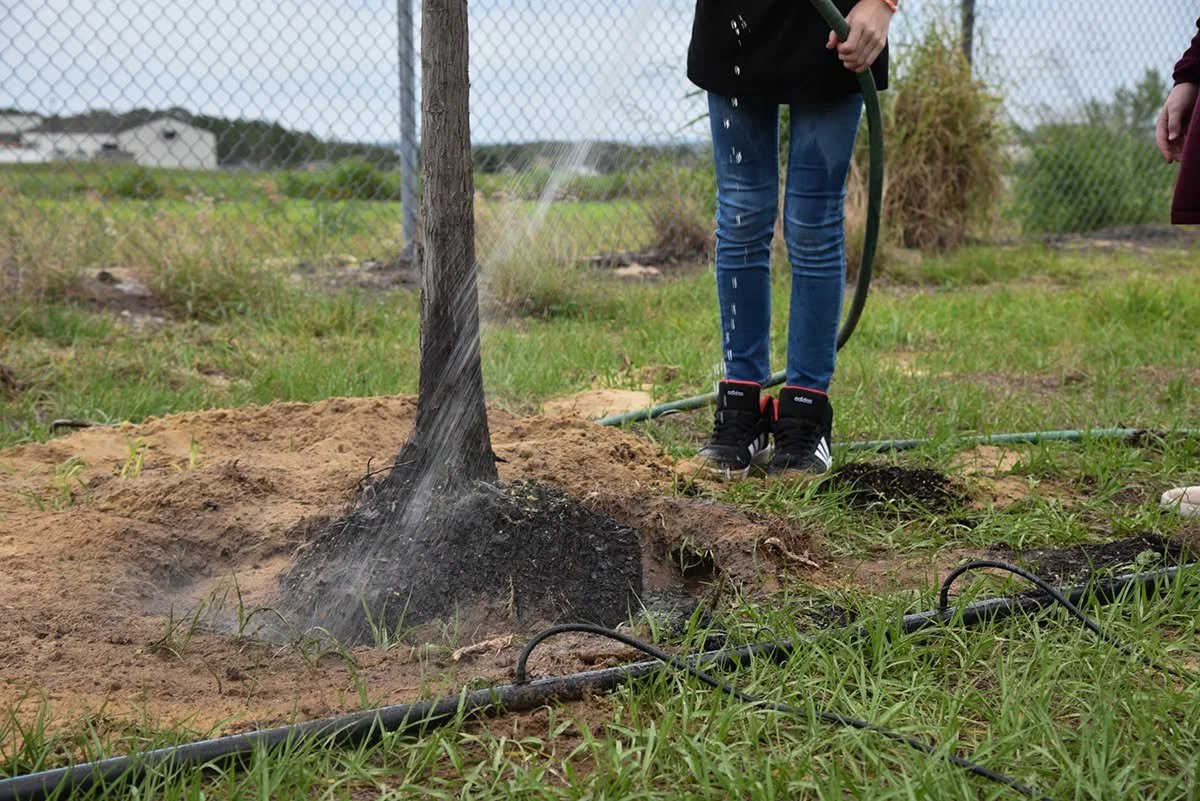 485142602_1260676725898448_1890051005730804522_n.jpg
