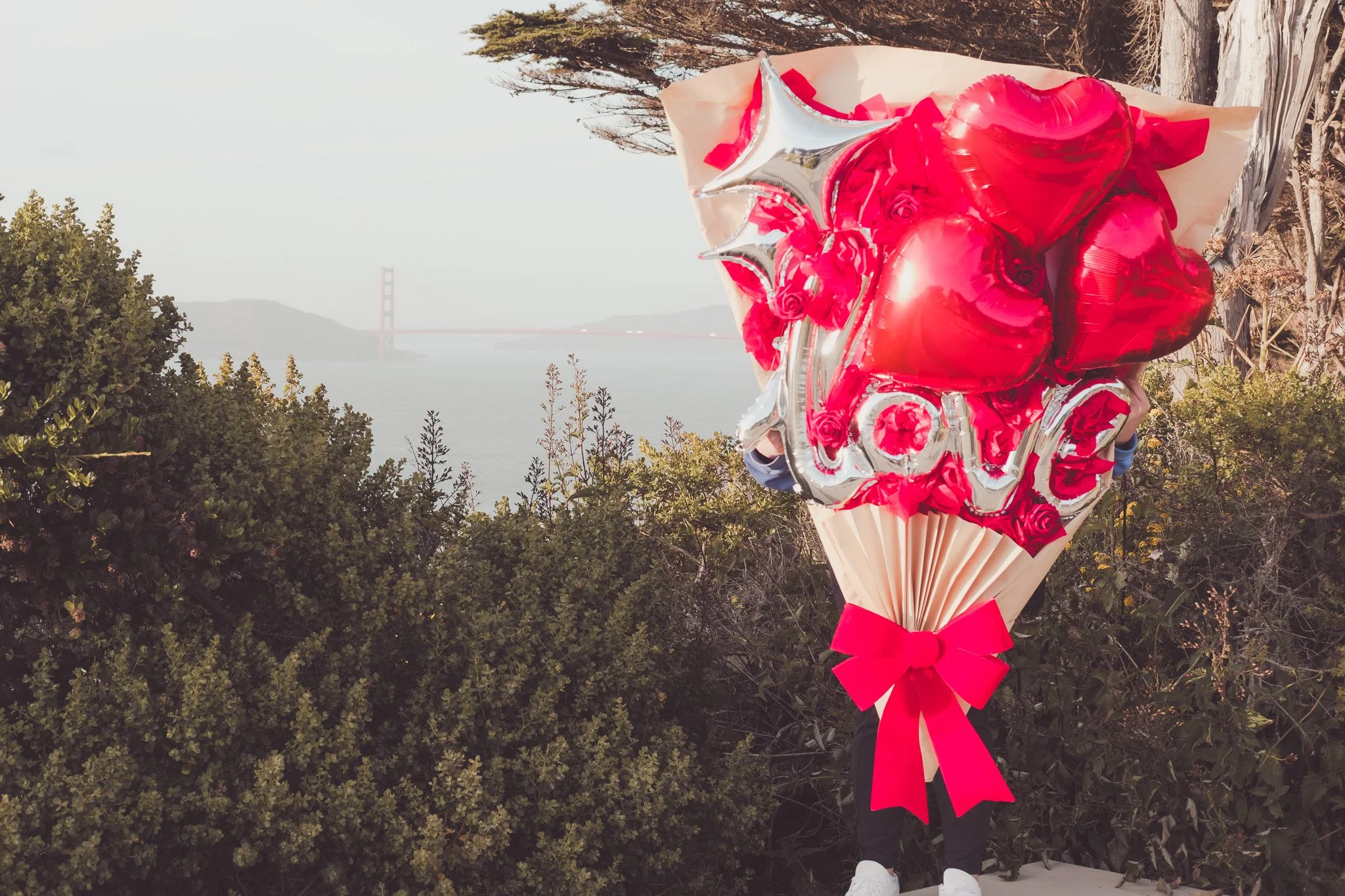 A bouquet of red and silver balloons spelling out 'LOVE' with heart-shaped balloons, held by a person standing outdoors near bushes, with a foggy background and a bridge in the distance.