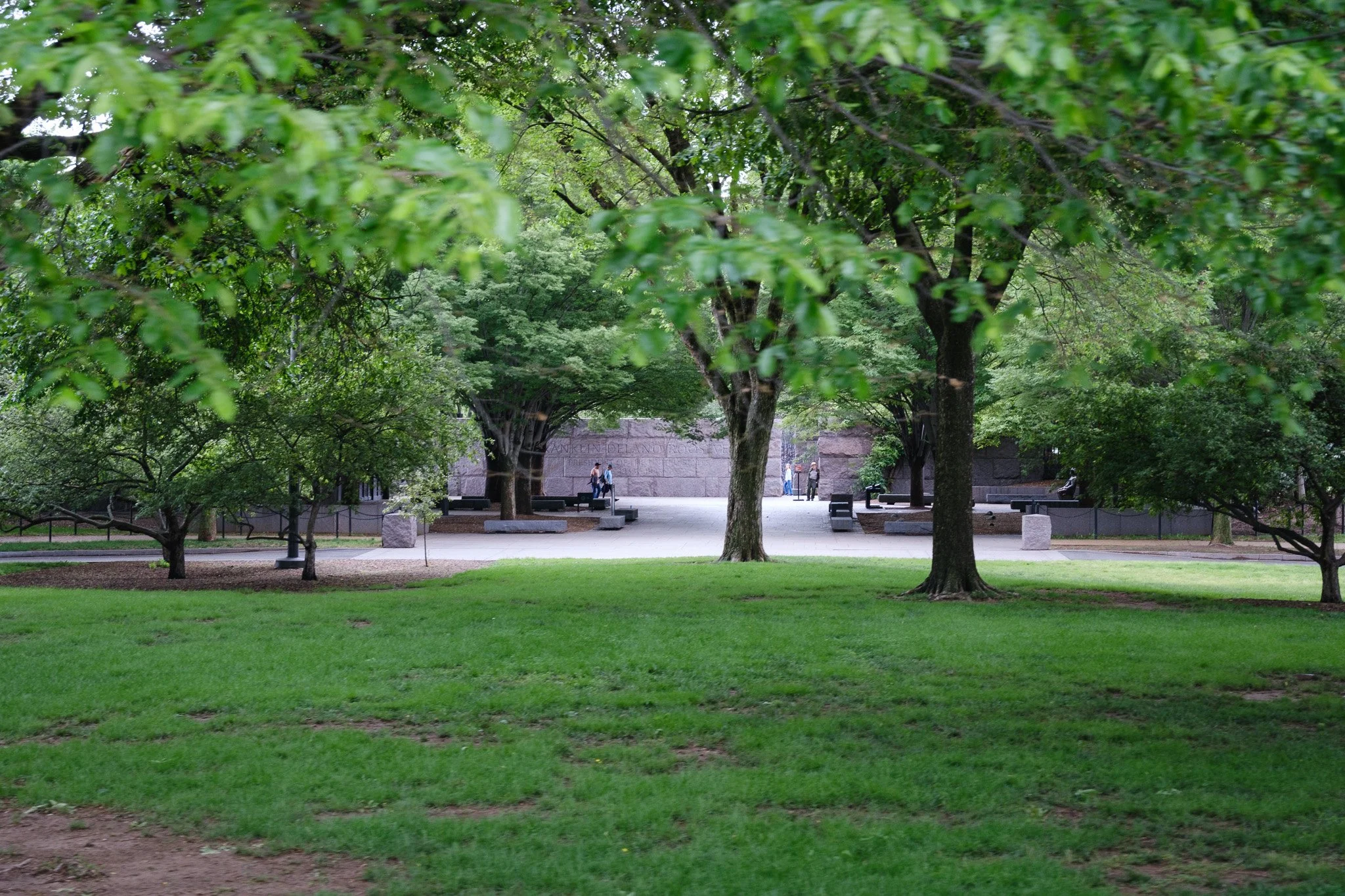 DSCF0305.jpg