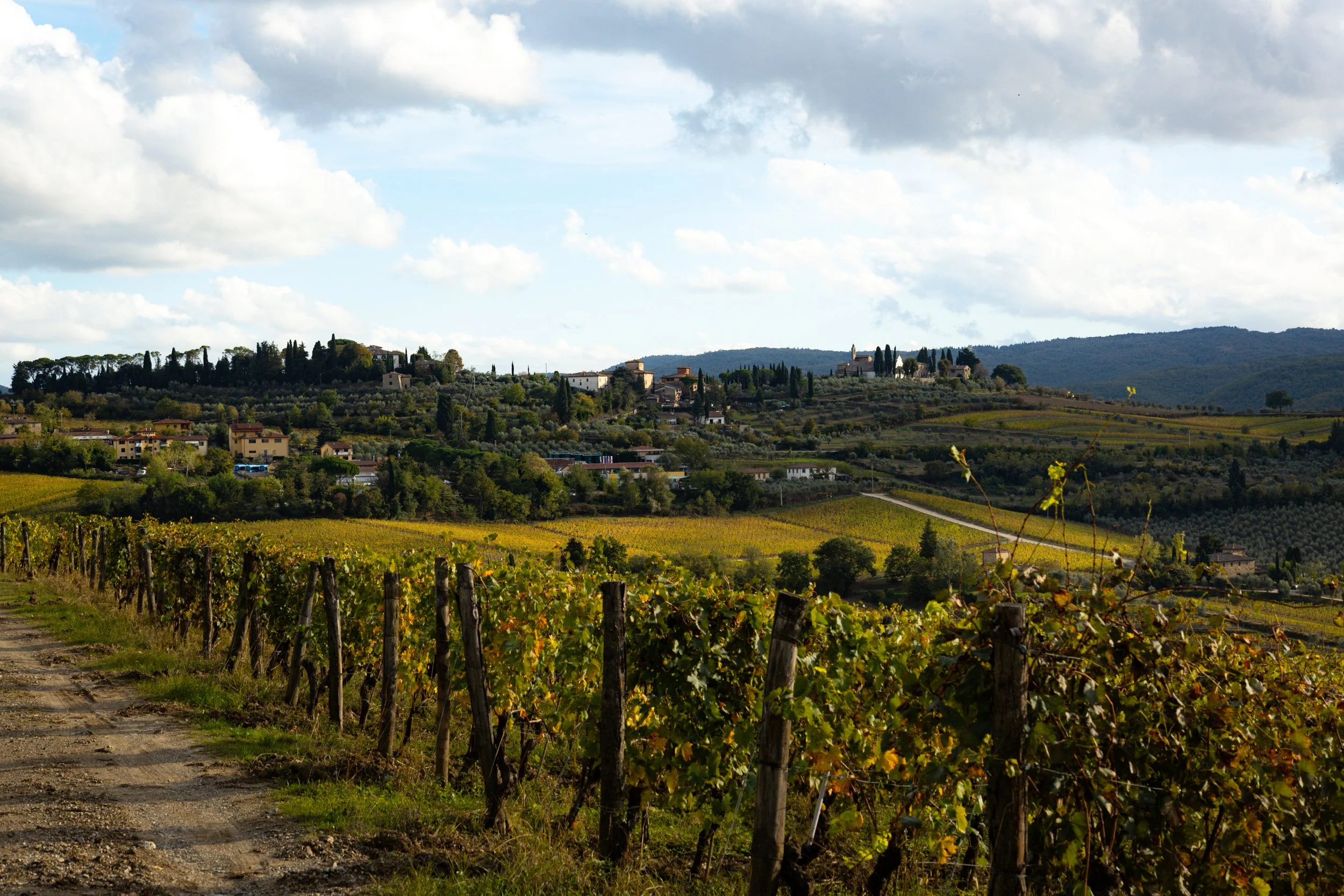 Florence-070.jpg