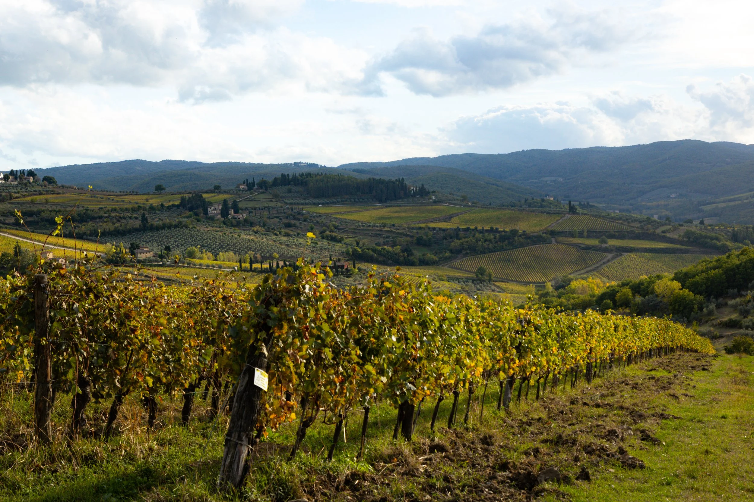 Florence-069.jpg