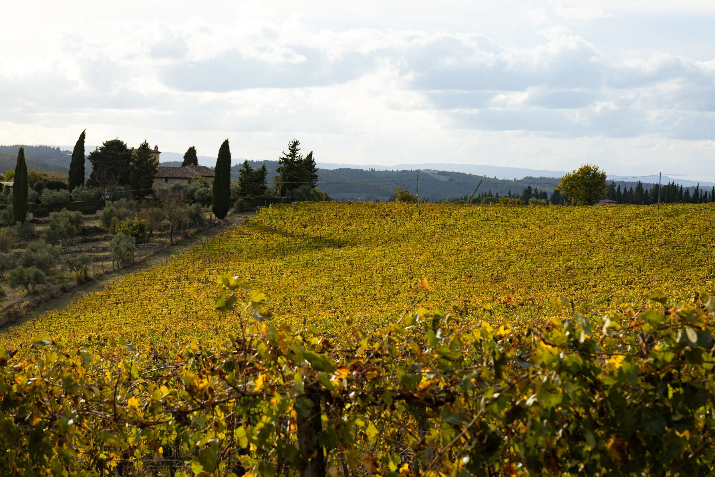 Florence-072.jpg