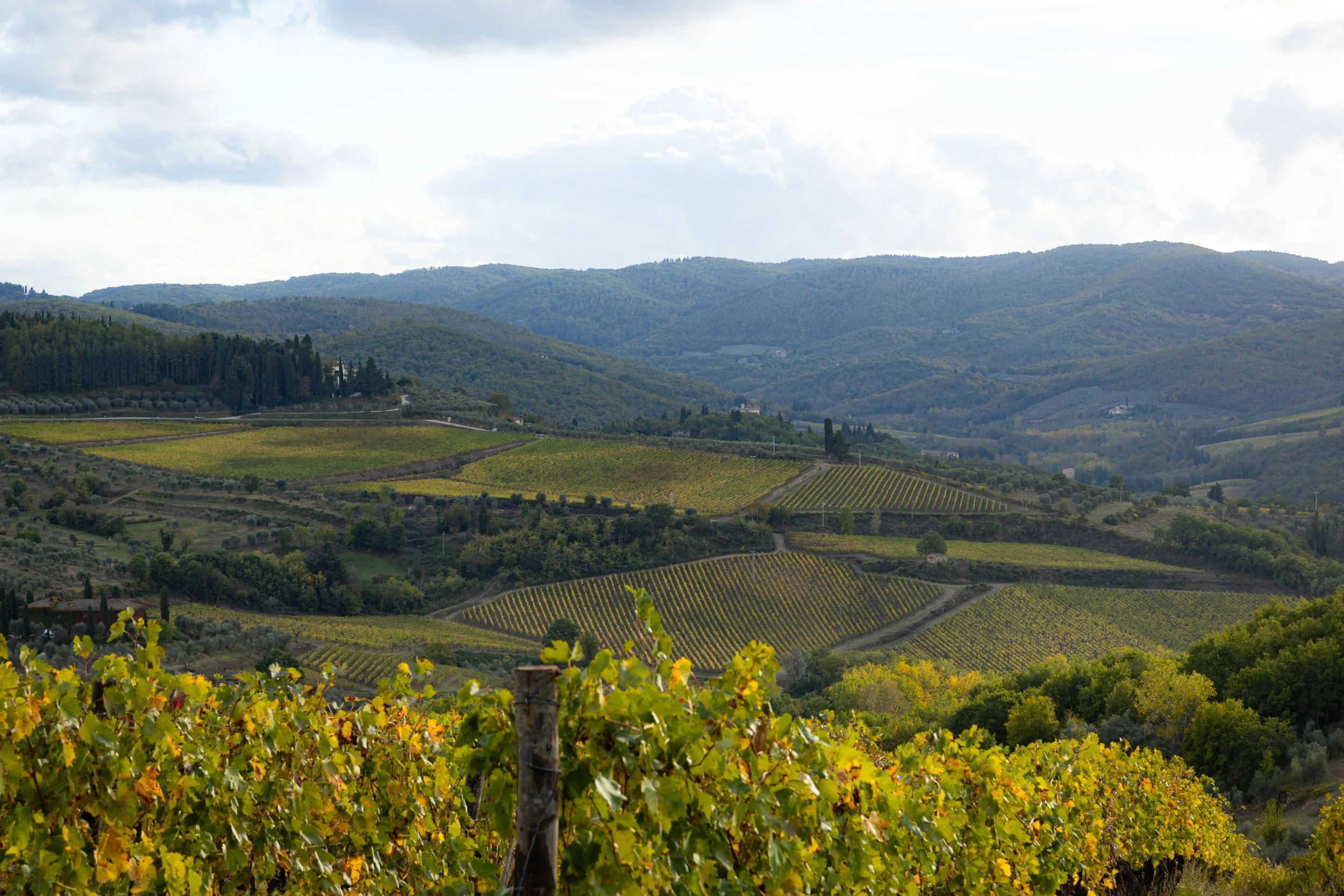 Florence-073.jpg