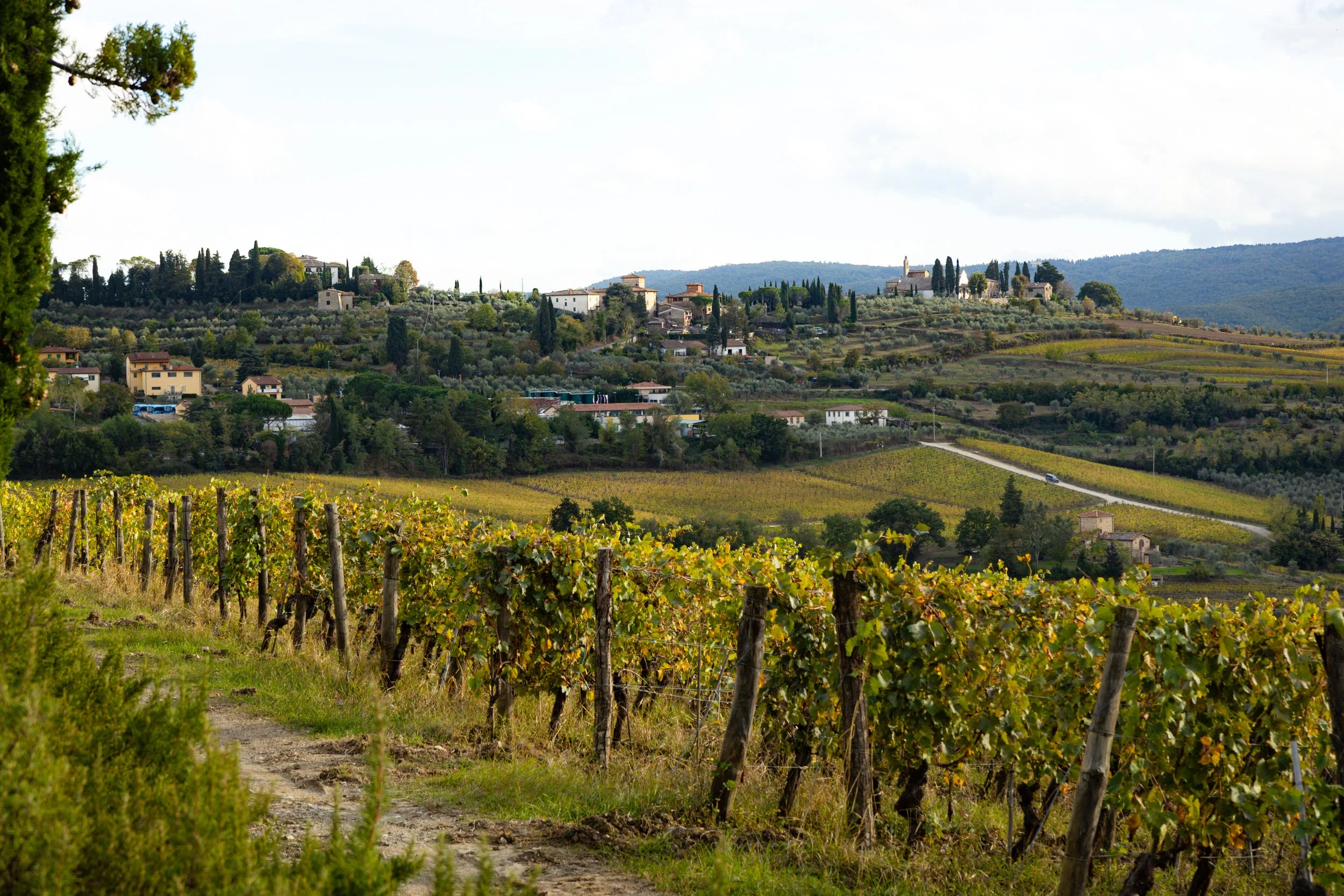 Florence-074.jpg