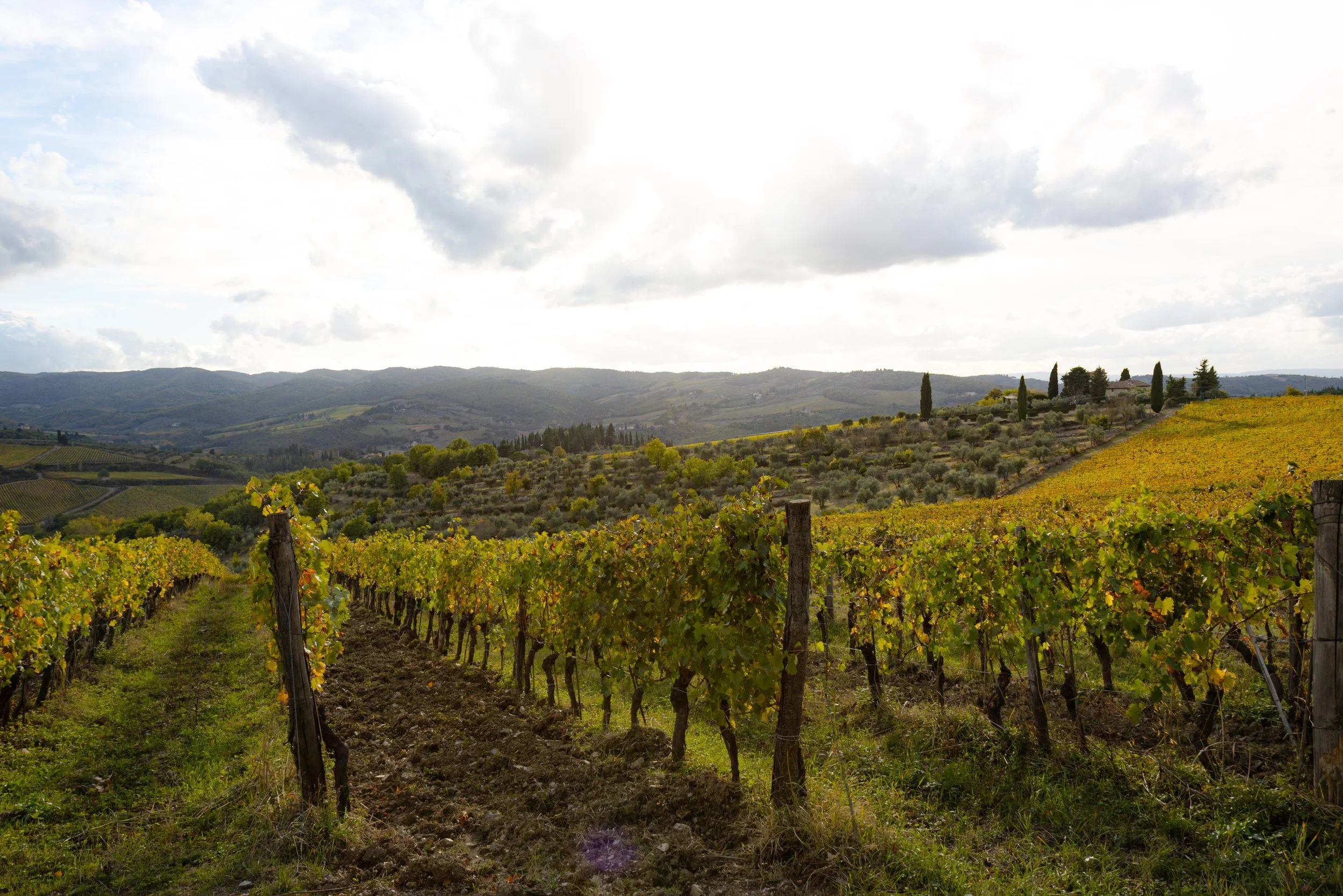 Florence-075.jpg