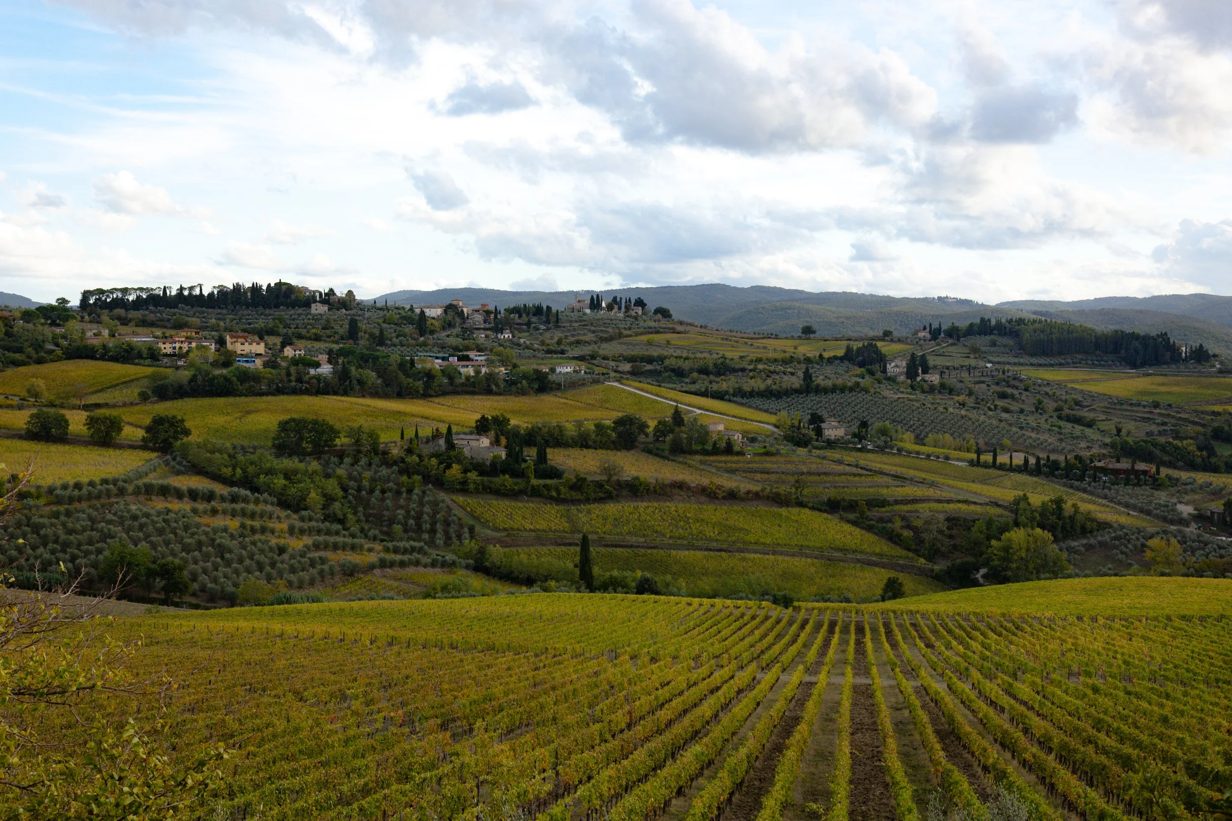 Florence-078.jpg