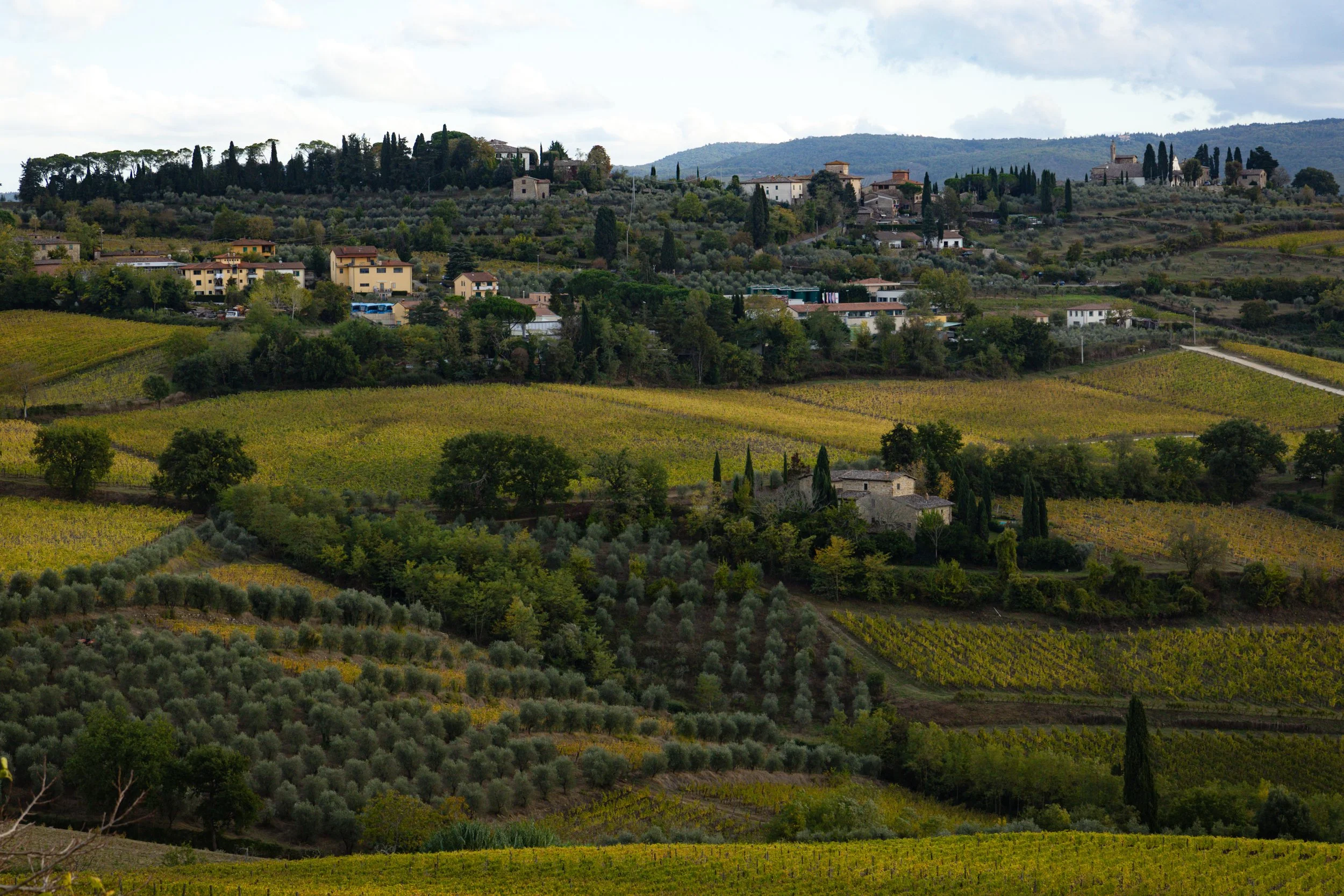 Florence-079.jpg