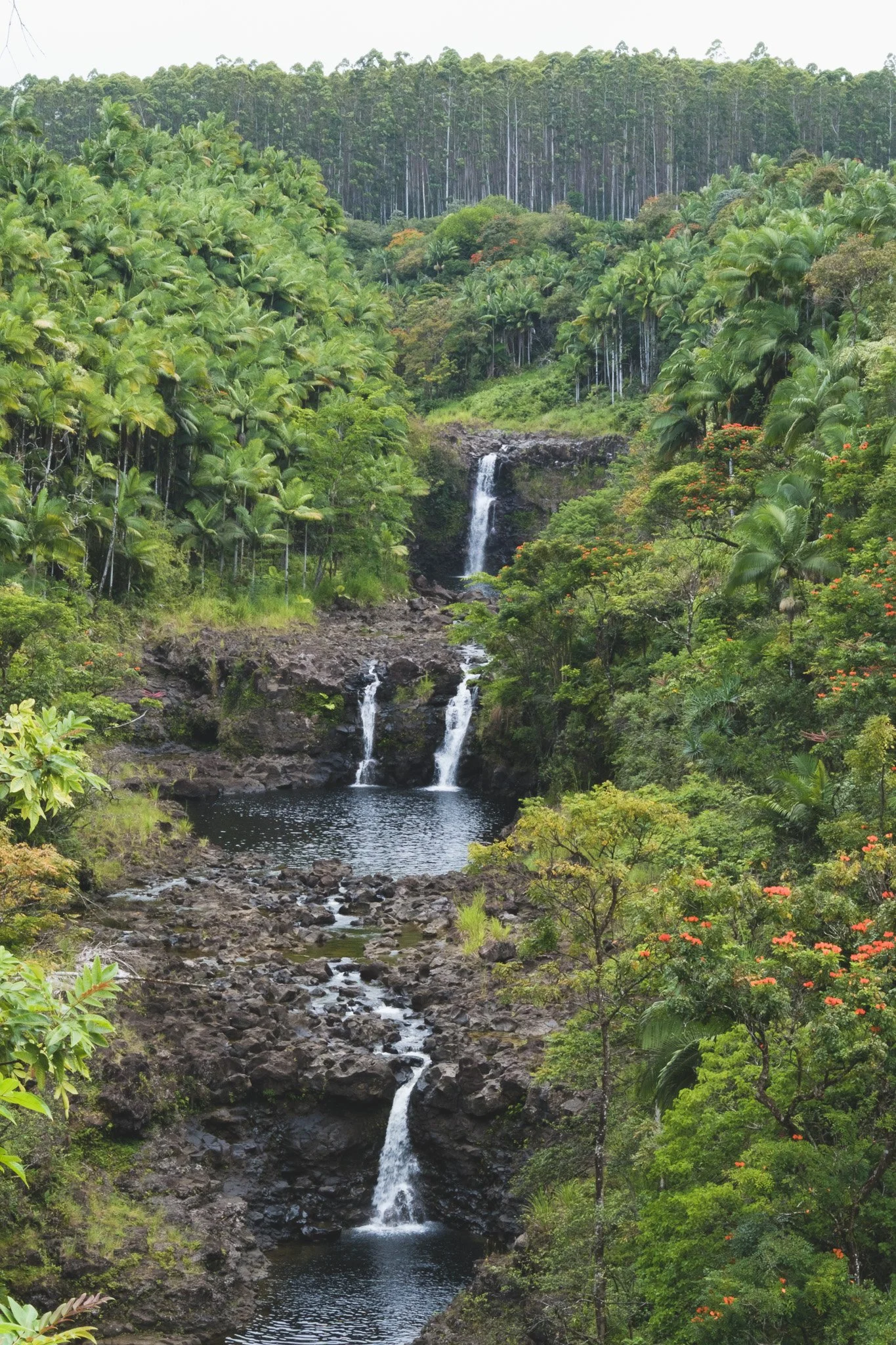 DSCF2207.jpg