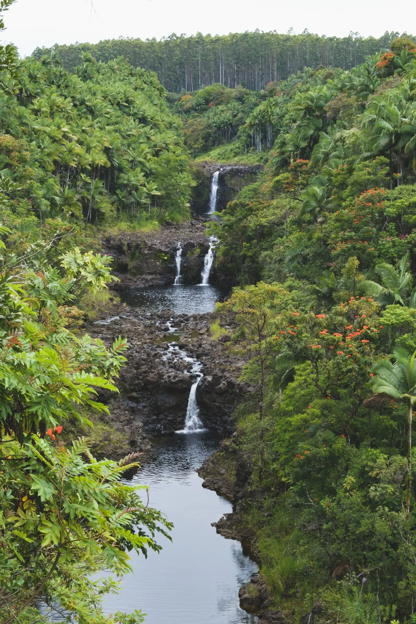 DSCF2211.jpg