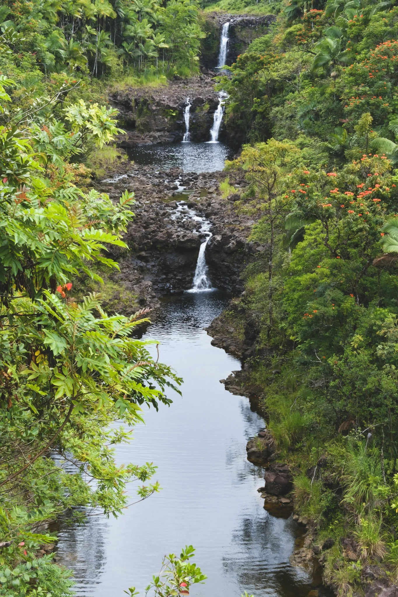 DSCF2212.jpg