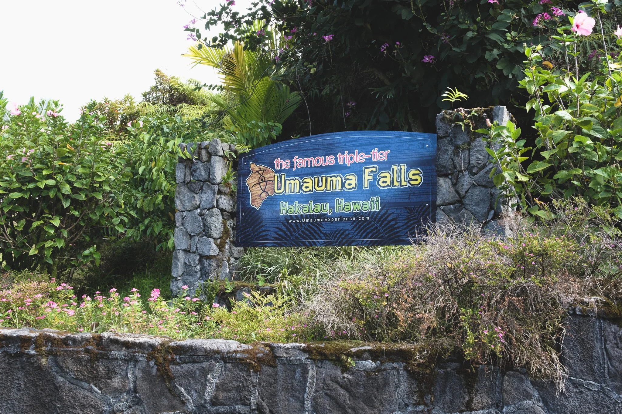 DSCF2219.jpg