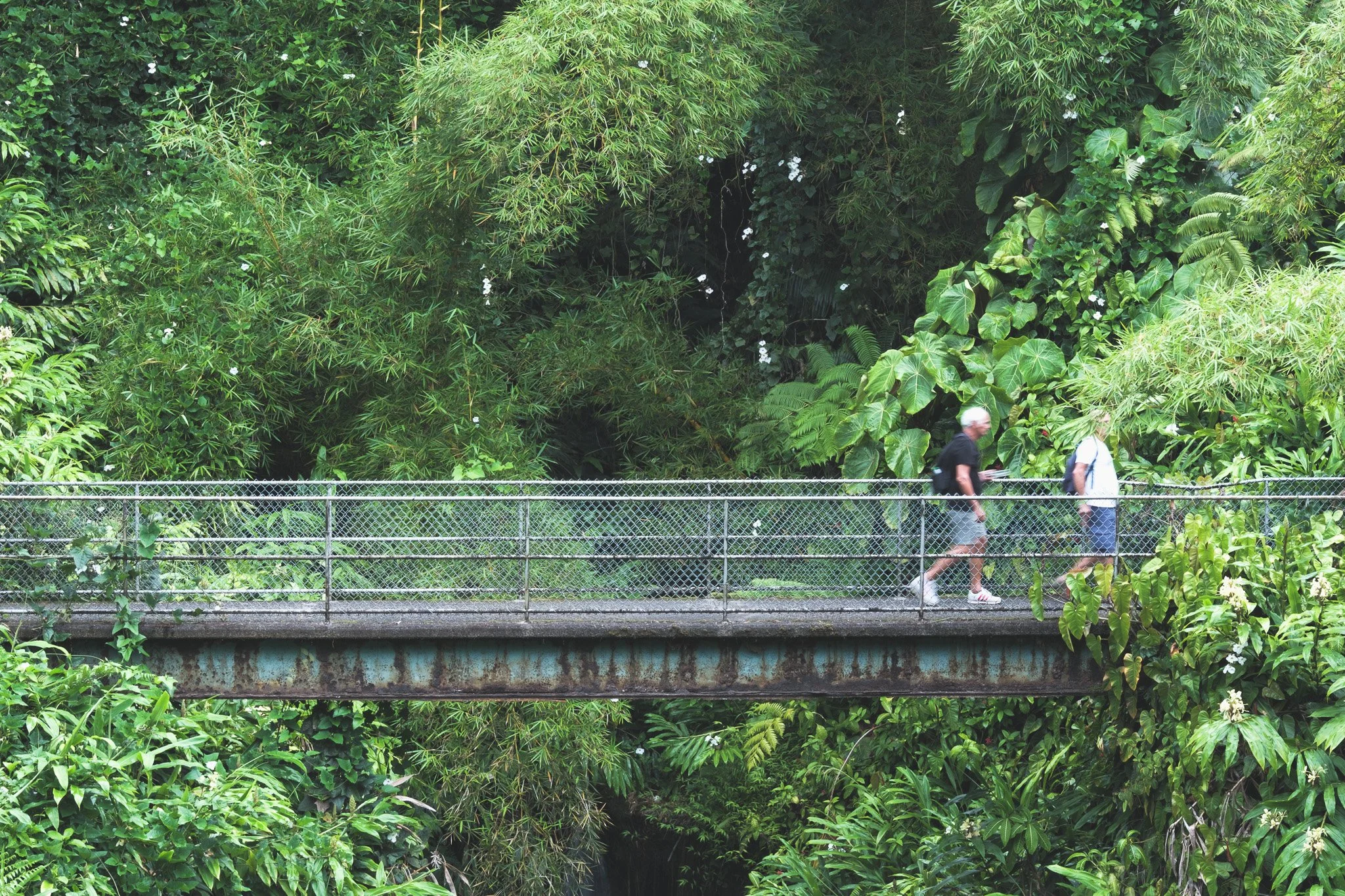 DSCF2228.jpg