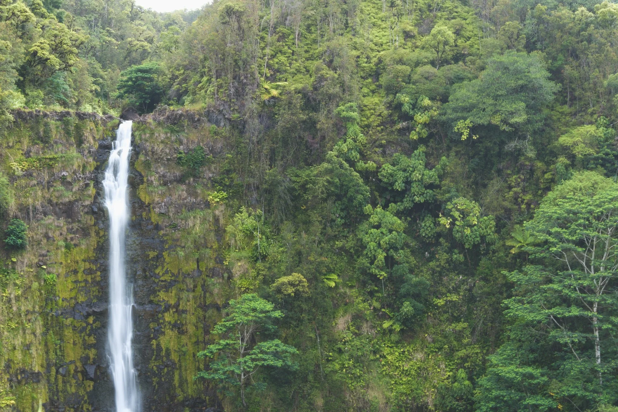DSCF2235.jpg