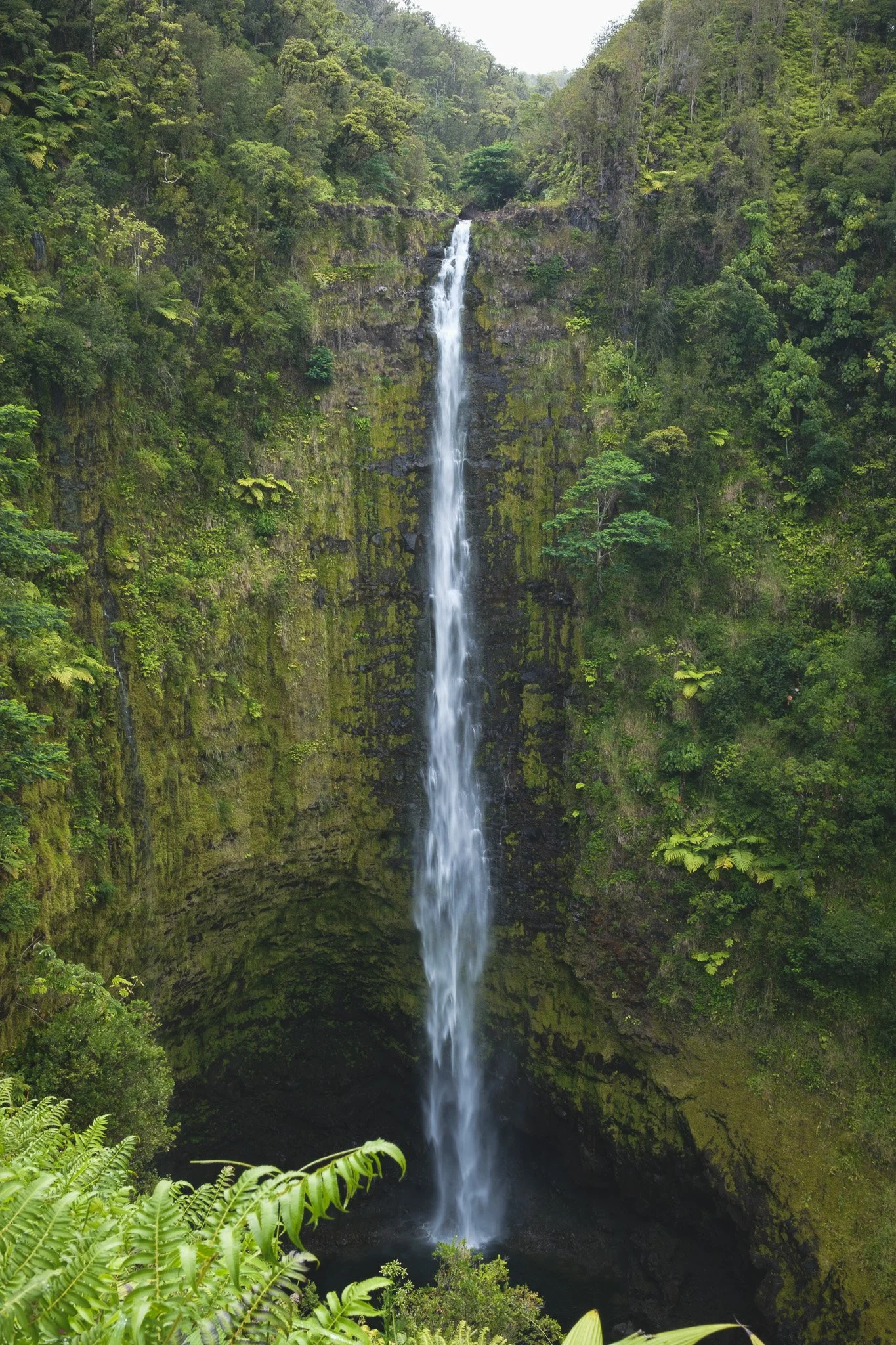 DSCF2245.jpg
