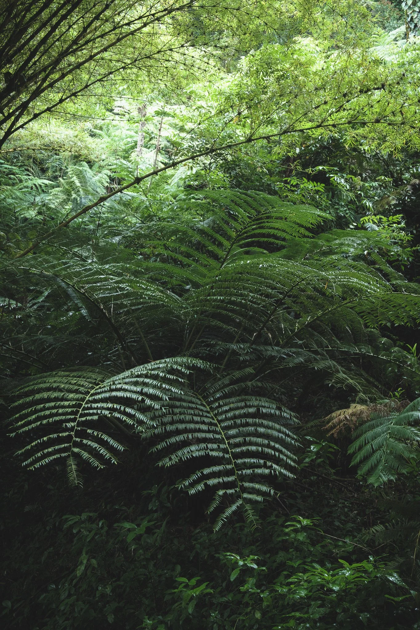 DSCF2257.jpg