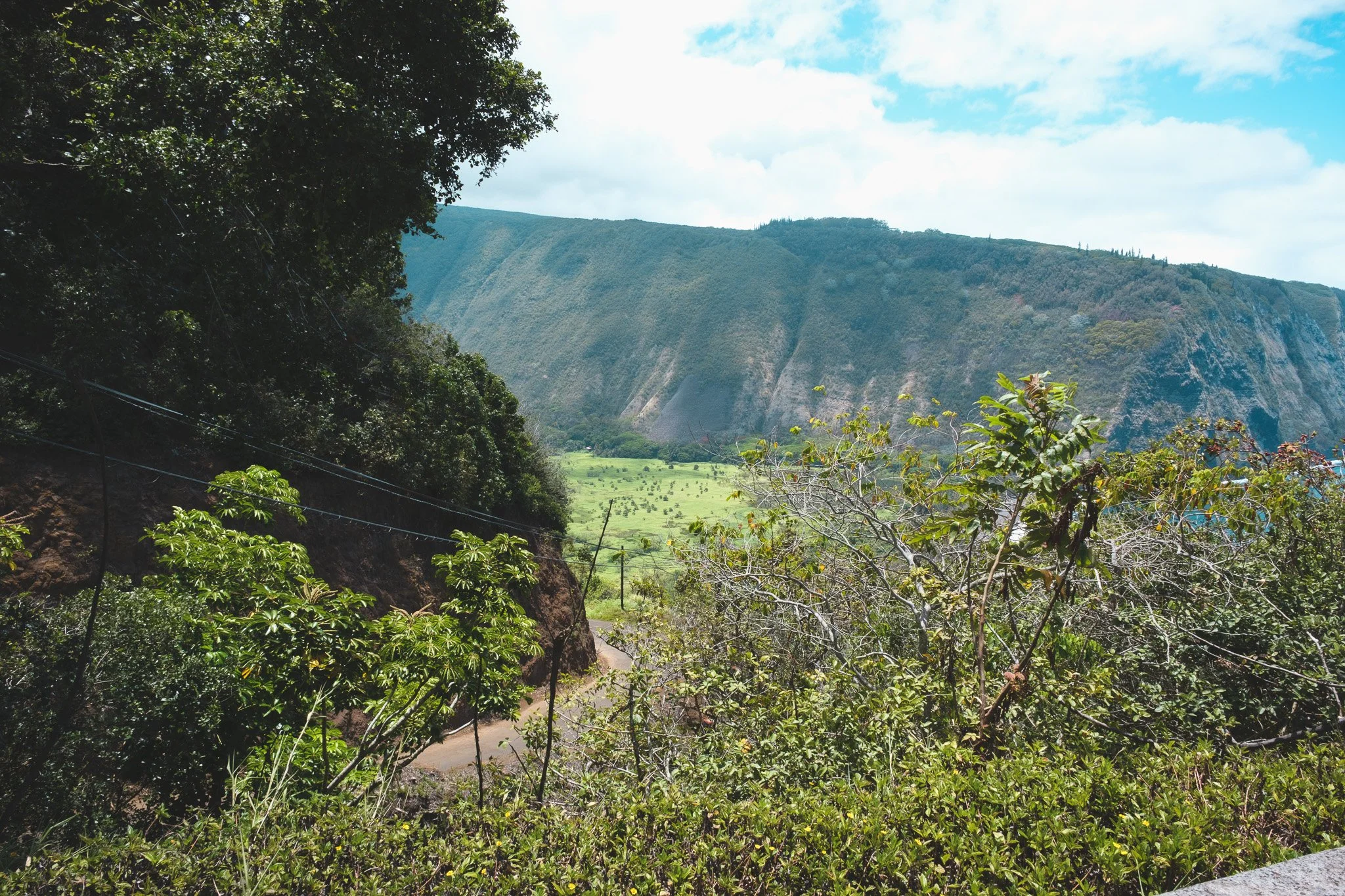 DSCF2439.jpg