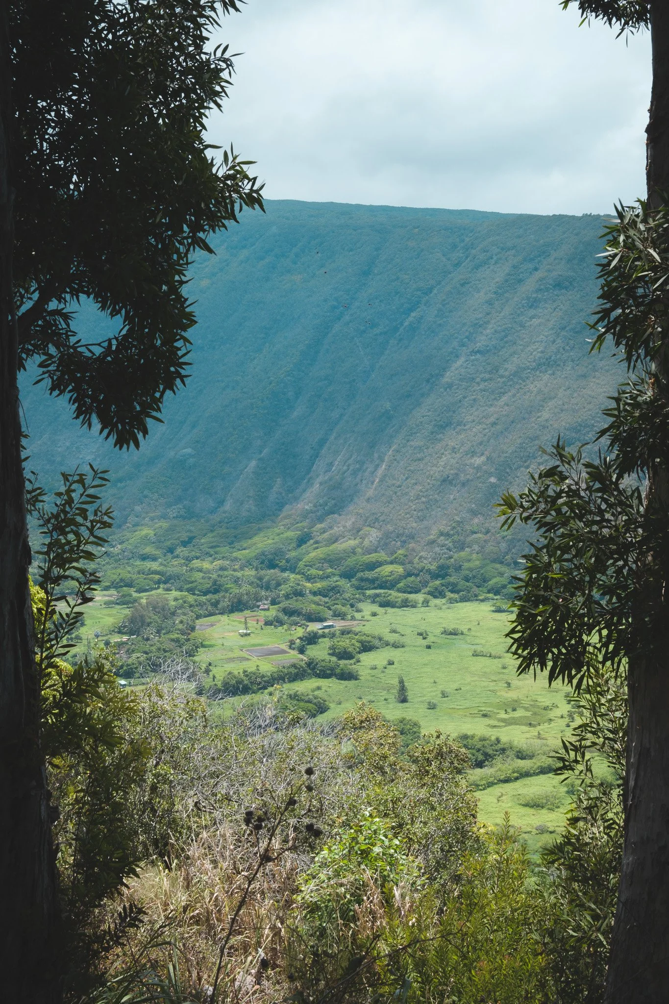 DSCF2466.jpg