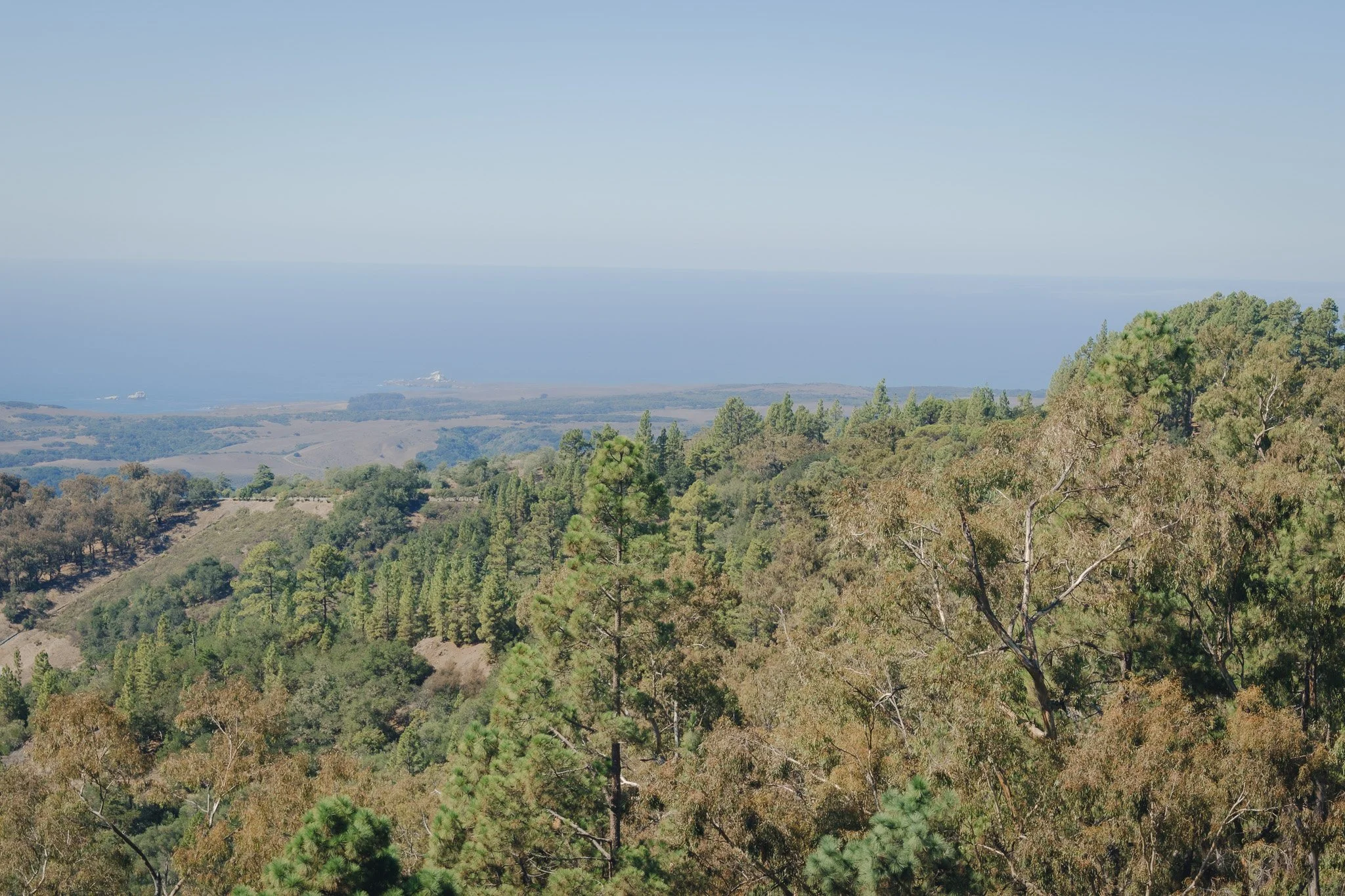 DSCF3514.jpg