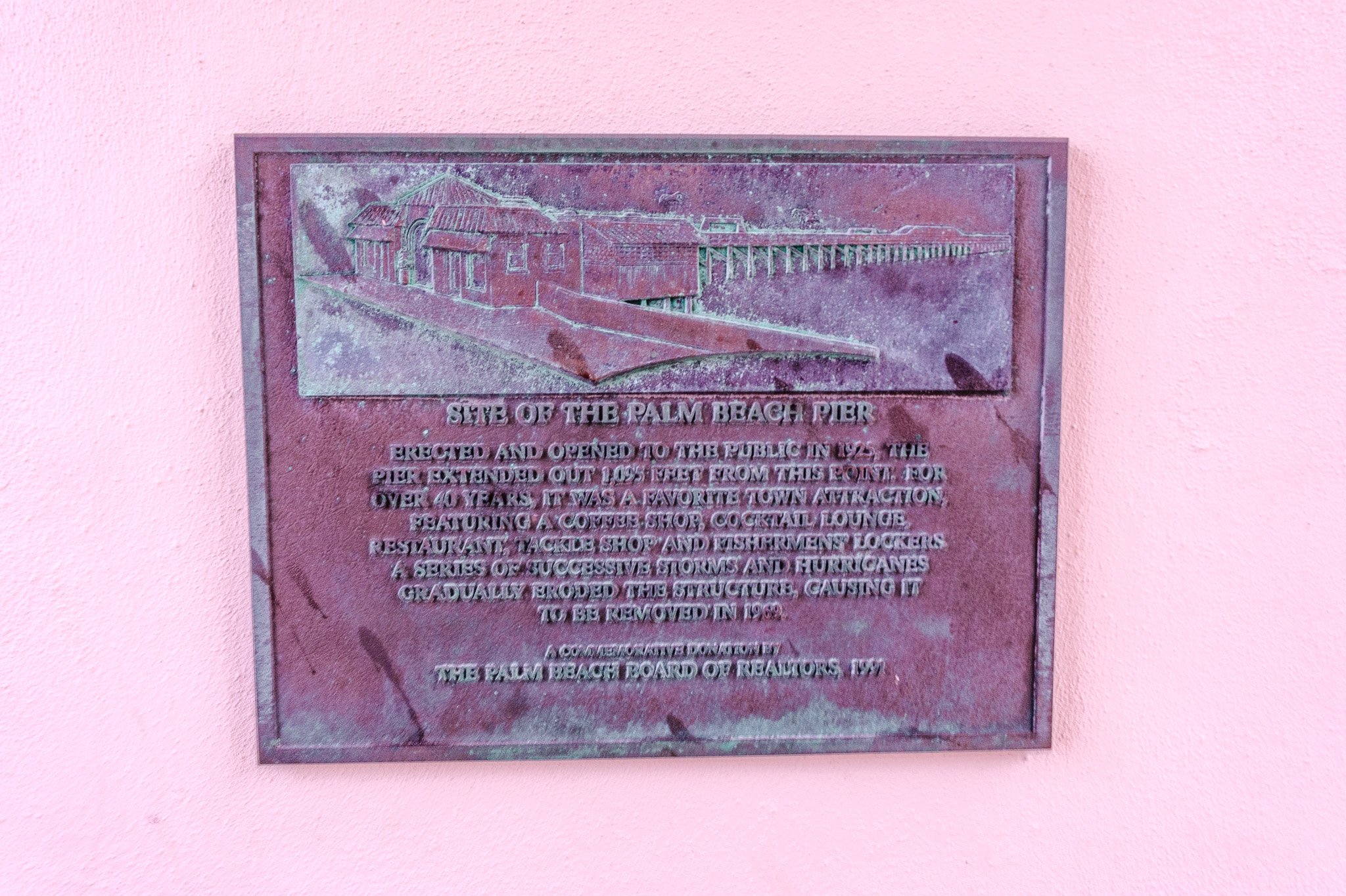 DSCF5638.jpg