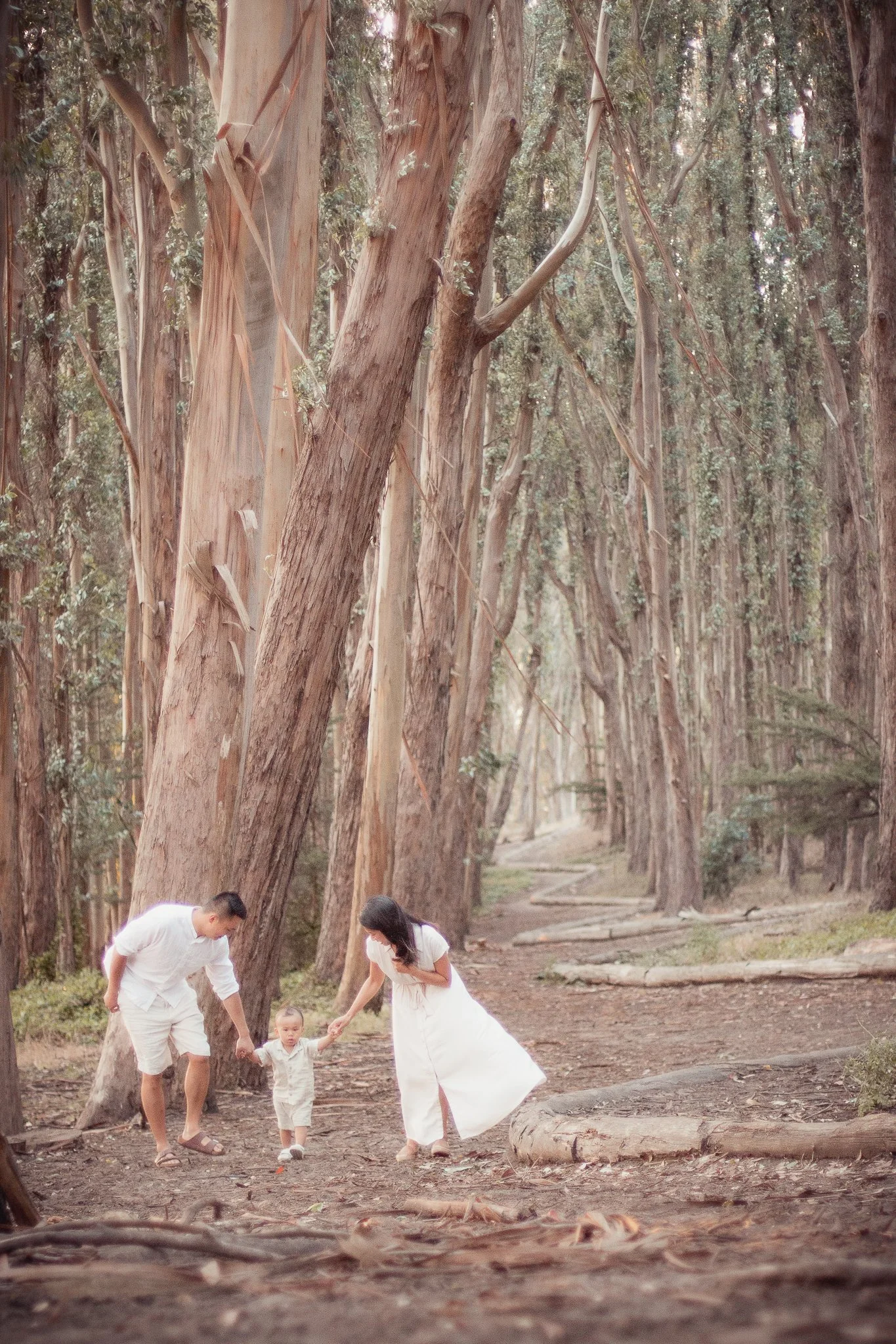 Family session in Golden Gate Park San Francisco — natural light photography