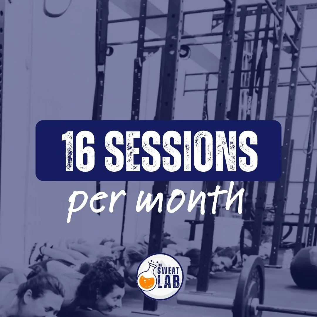 16 Sessions per Month