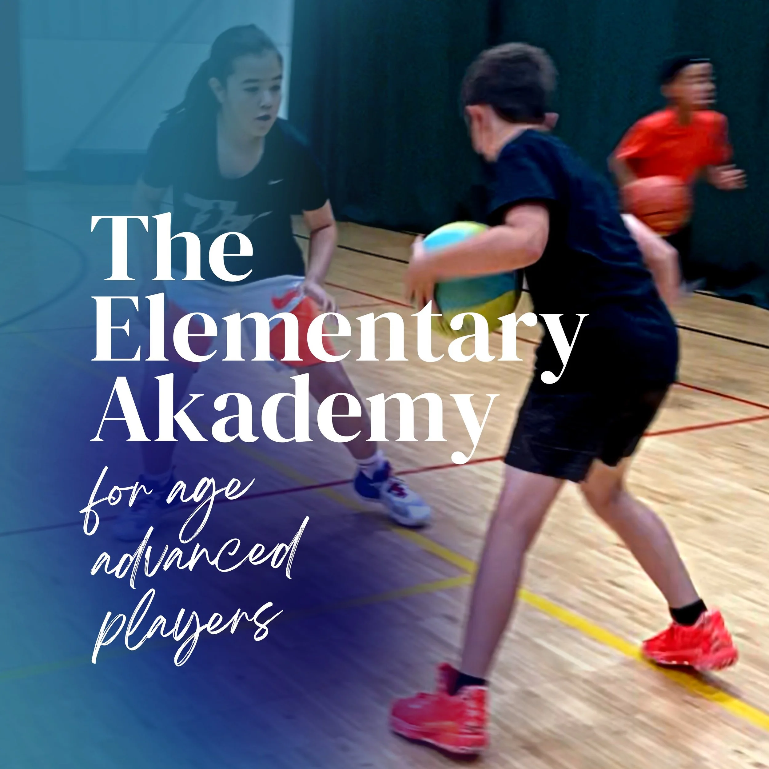 The Elementary AKademy