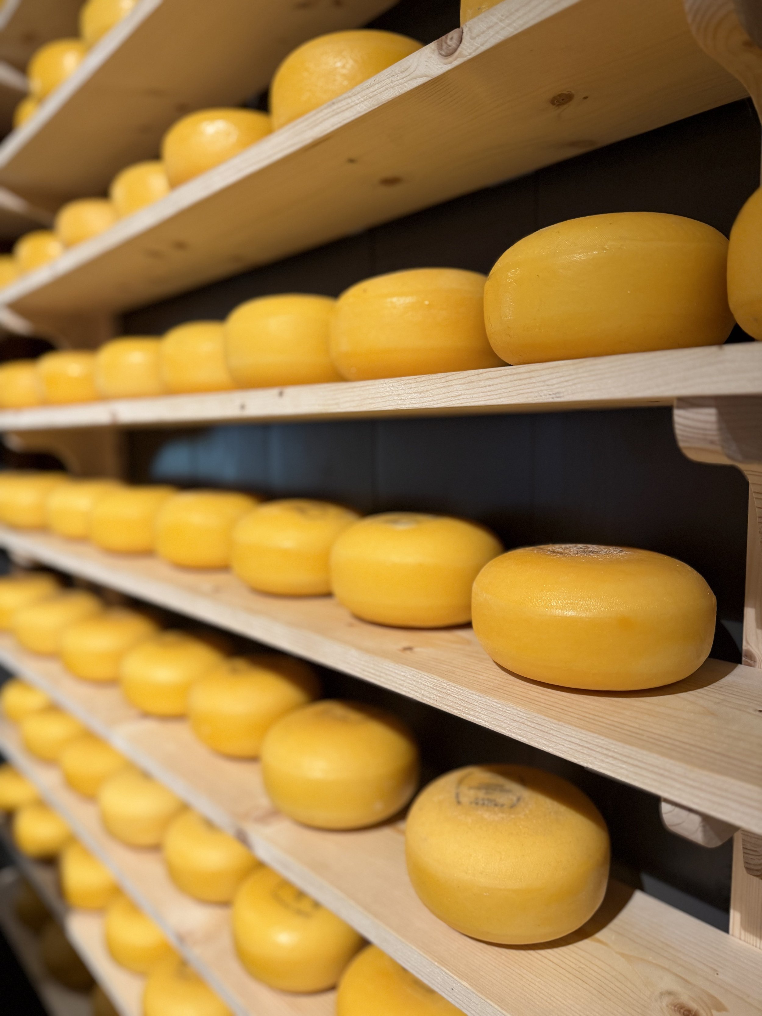 Wine and Cheese Night: The Easiest Way to Gather Your Neighbors