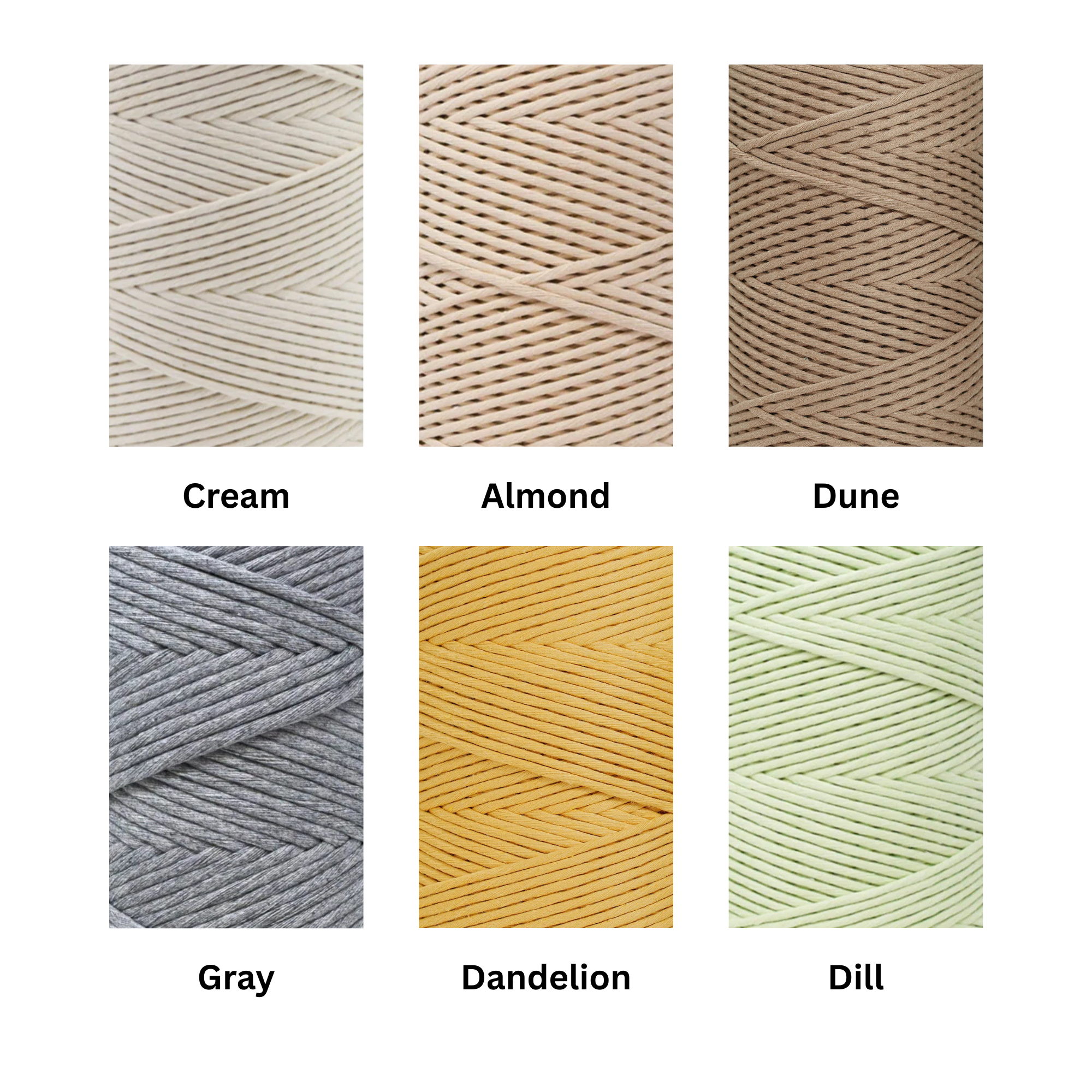 Color 1 (1).png (Copy)