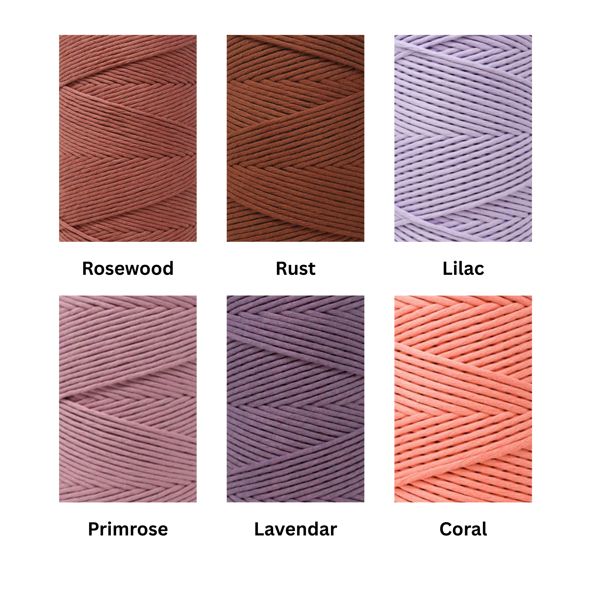 Color 3.png (Copy)