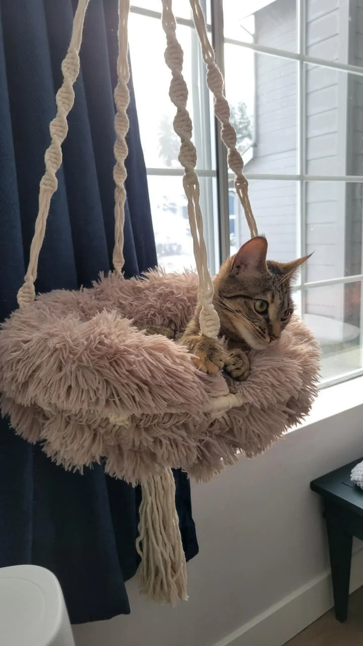 Macrame Cat Bed