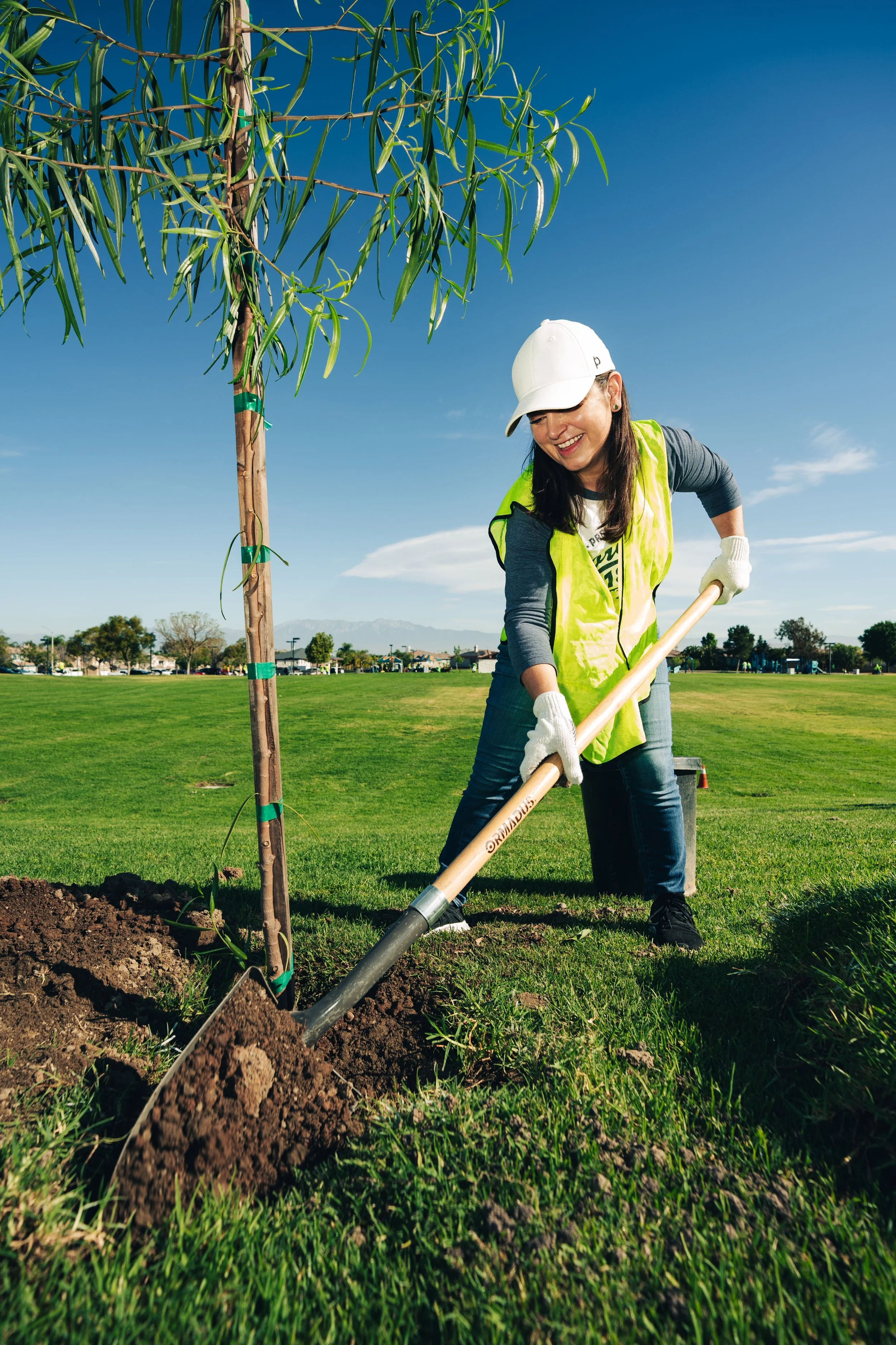 tree planting 4.jpeg