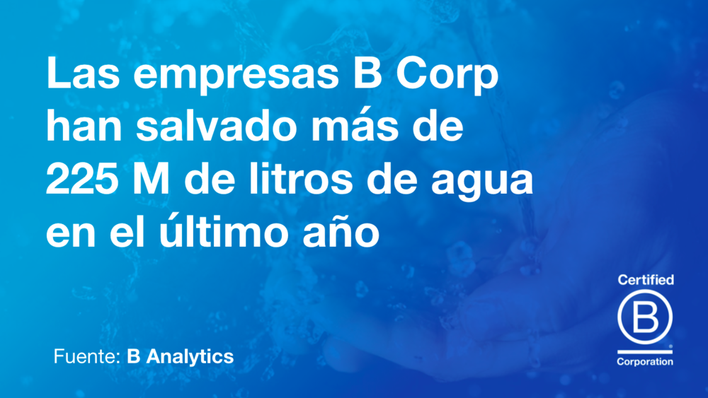 Data-B-Corp-Global-2.png