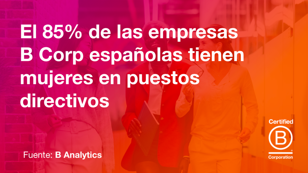 Data-B-Corp-ES-4.png
