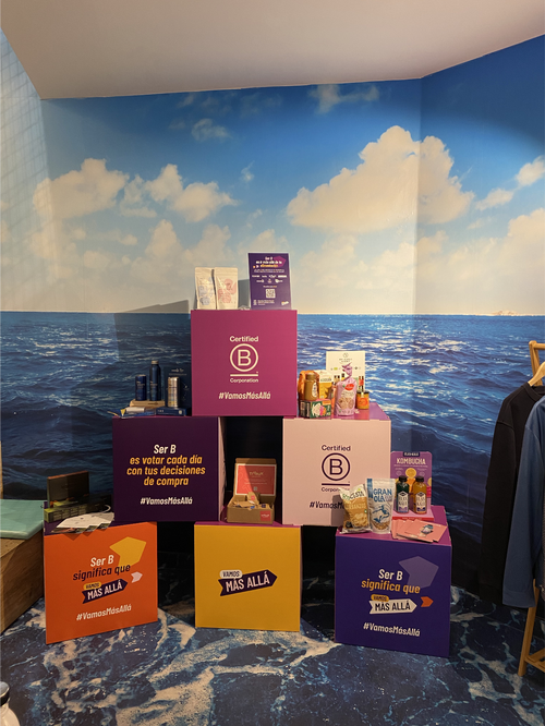 Alimentación+-+Showroom.png