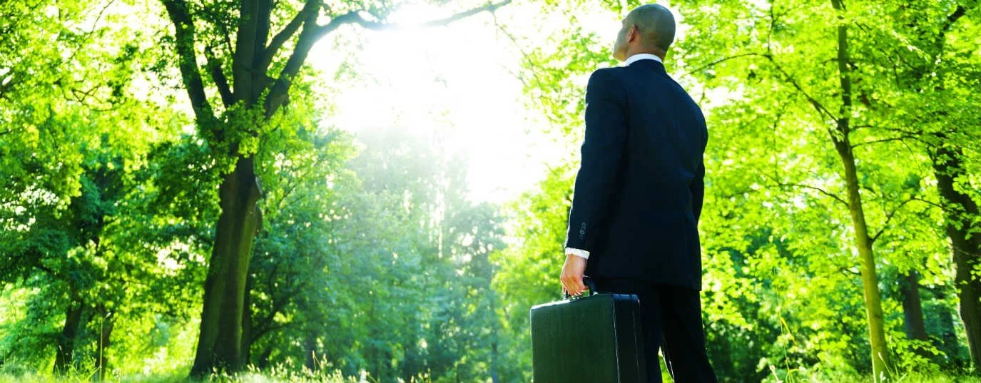 Nueva Economía | Inversión Sostenible: Un llamado a los CFOs