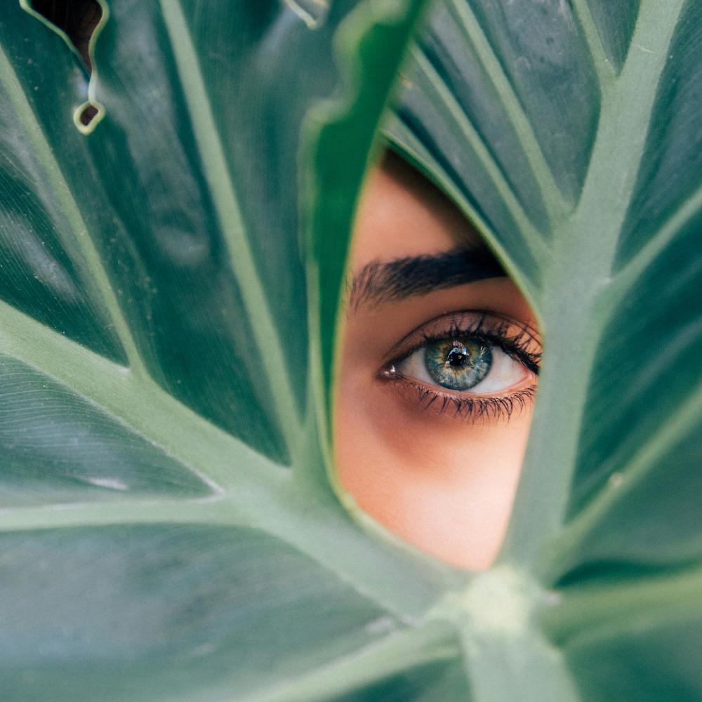 El silencio sale caro: 7 claves para comunicar sostenibilidad en la era del escepticismo