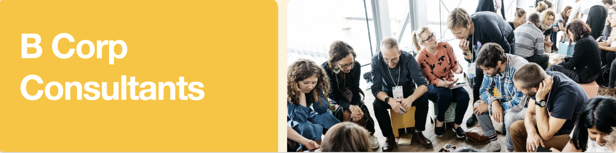  Open call B Corp Consultants Retraining Pathway