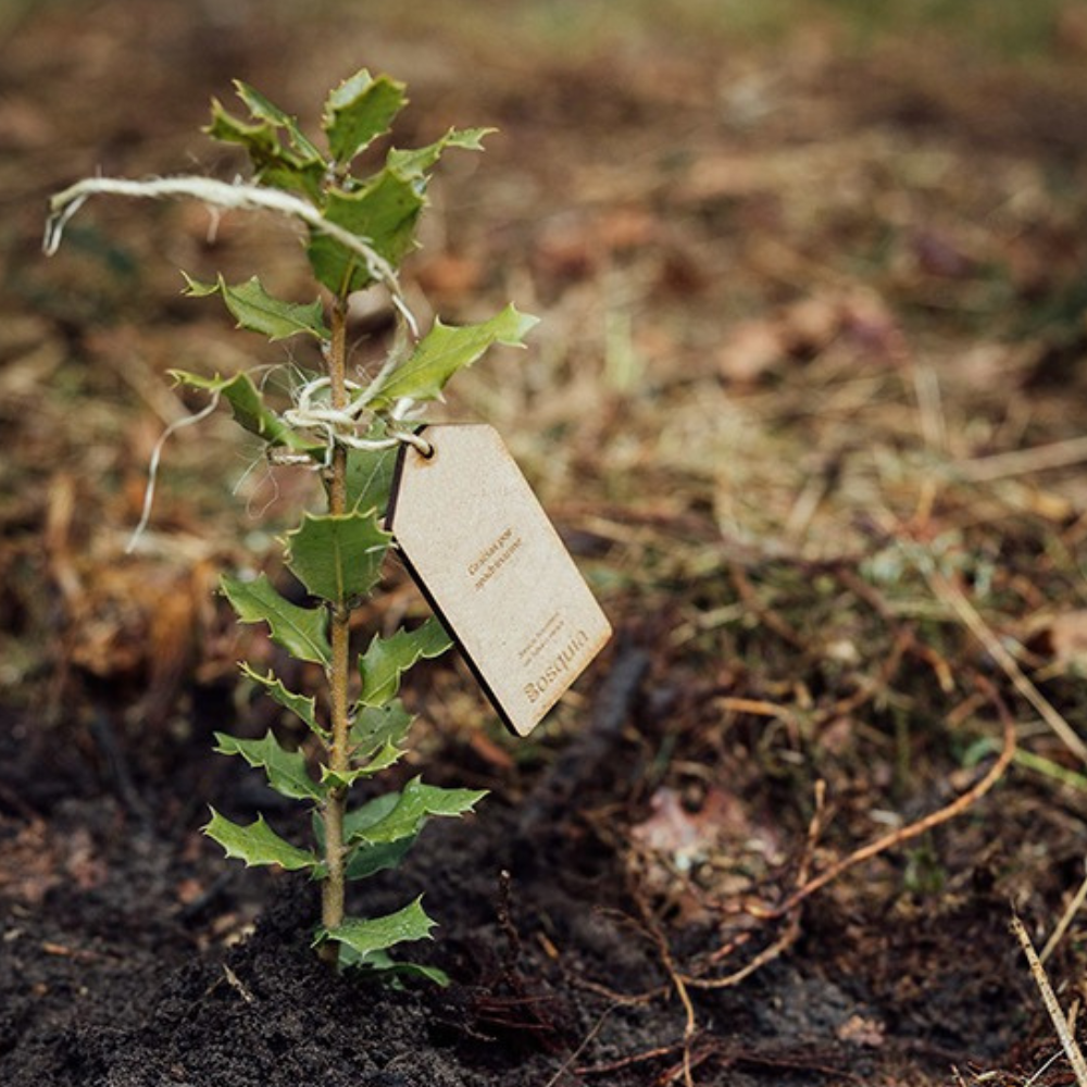  Acción climática: 3 claves para un modelo de negocio más competitivo y resiliente