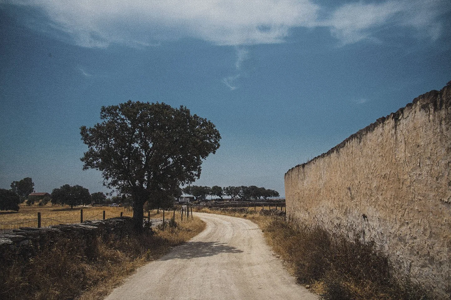 Todos os caminhos vão dar ao Seixo