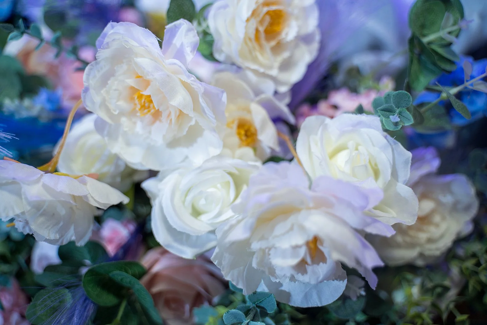 Gemma & Mark-753.jpg