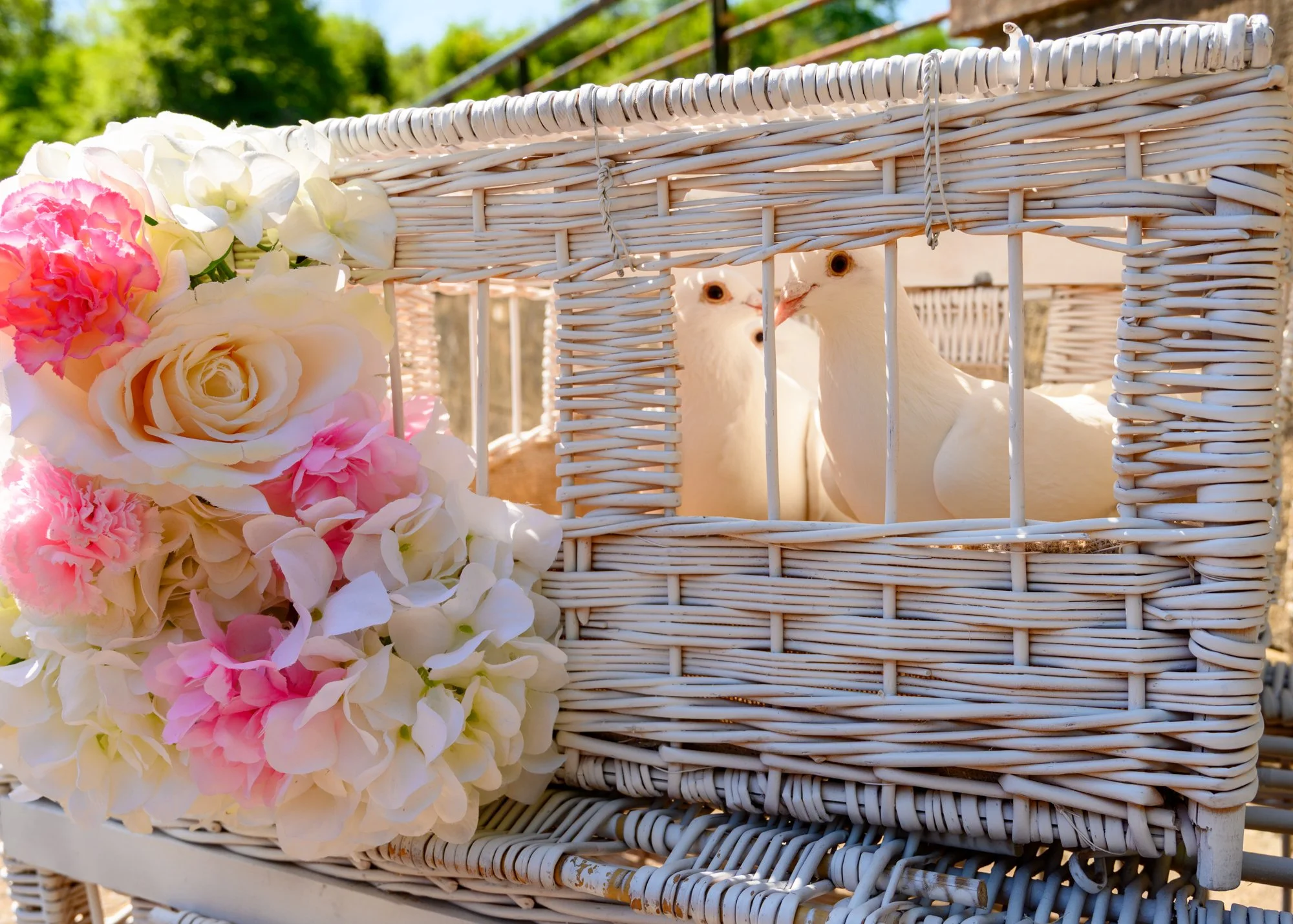Two white doves in a wicker basket decorated with pink and white flowers, ready for a dove release ceremony.