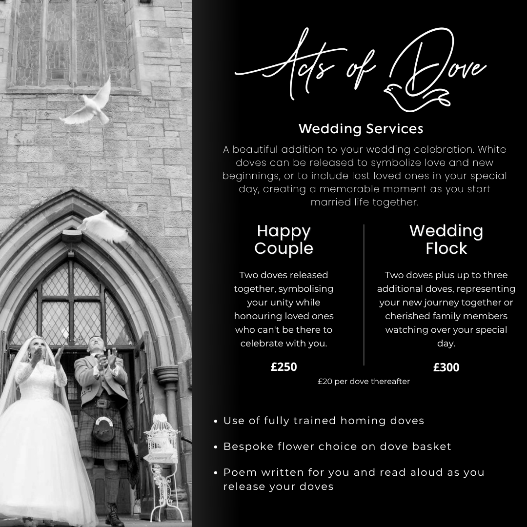 Acts of Dove Wedding Services graphic listing the Happy Couple and Wedding Flock dove release packages, pricing and what's included