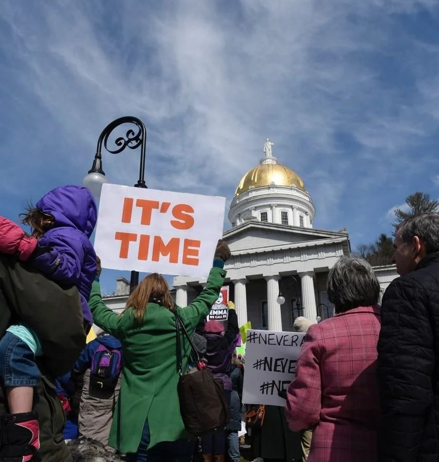 A crowd of people protesting outside a government building with a gold dome, holding signs including one that says 'IT'S TIME' and others with hashtags like '#NEVER'.