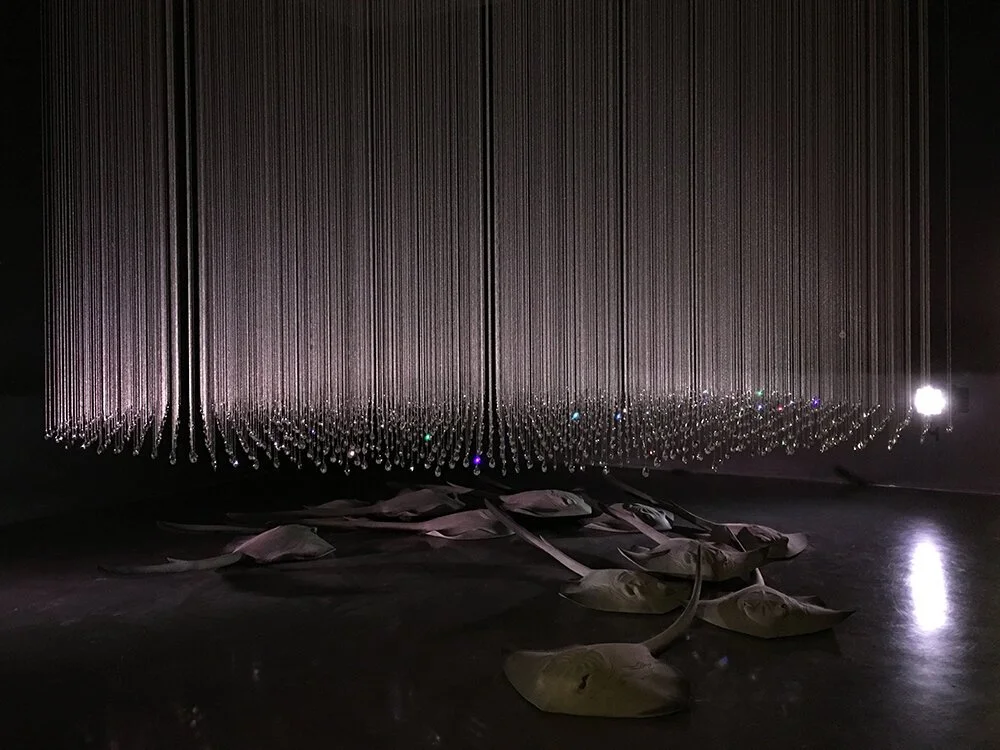 "The National 2019 - New Australian Art" - exhibition