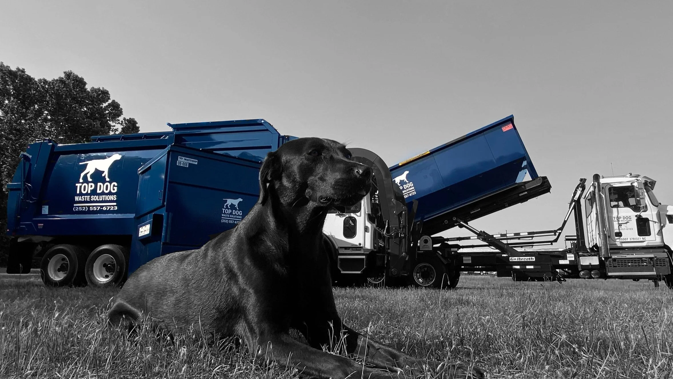 Top Dog Waste Solutions site